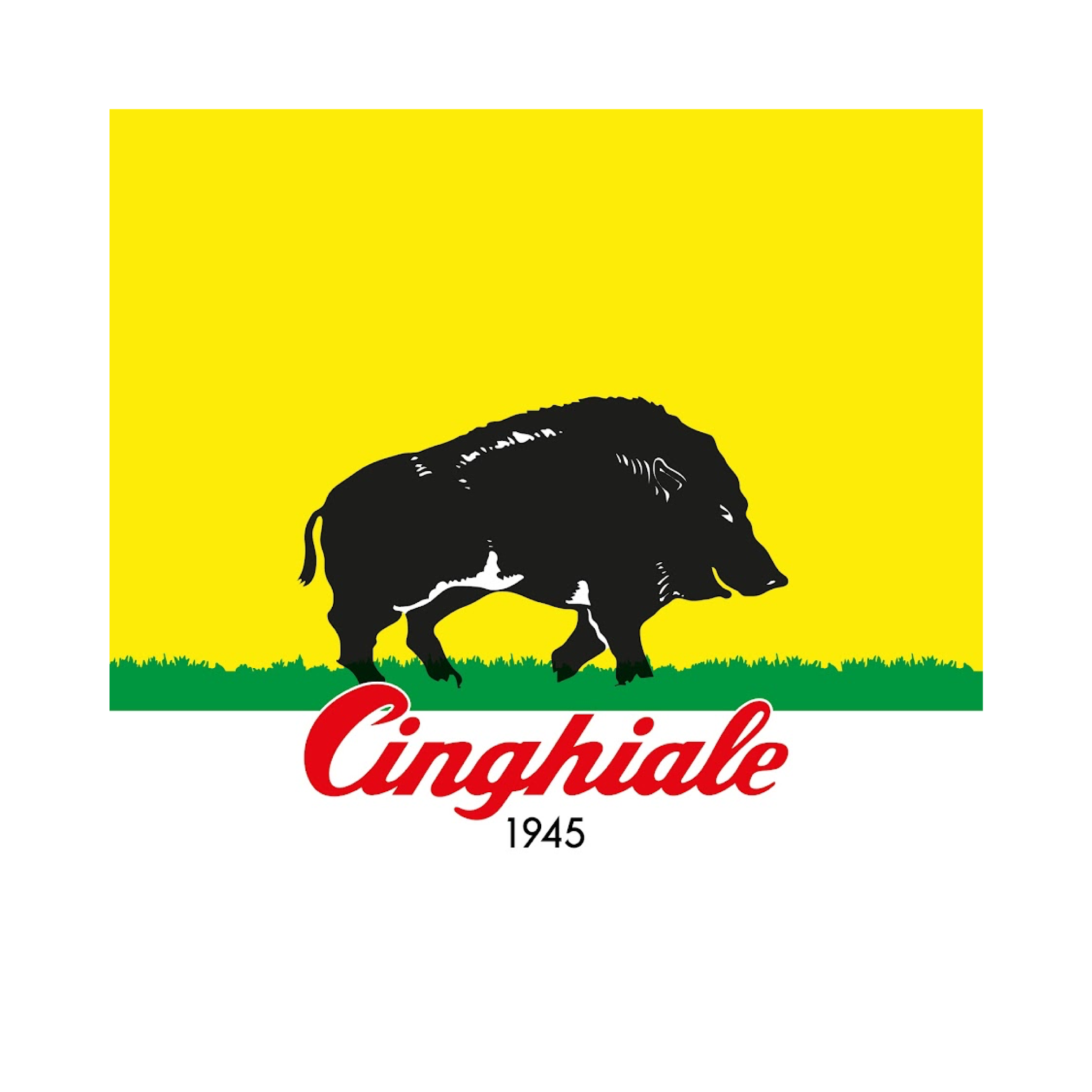 Pennelli Cinghiale